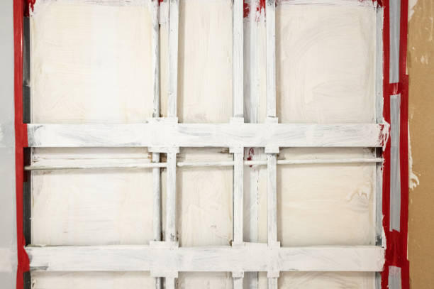 Biohazard Mold Removal in Brooklyn, IN