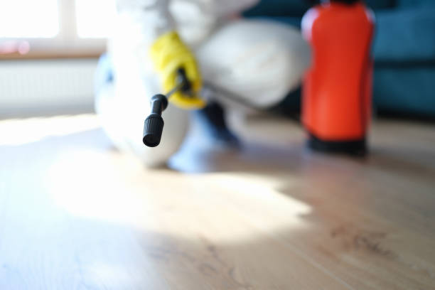 Best Residential Mold Inspection & Testing  in Brooklyn, IN