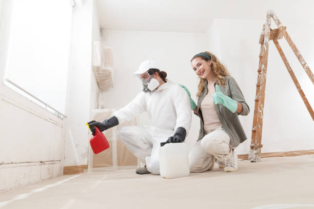 Mold Remediation for Vacation Homes in Brooklyn, IN