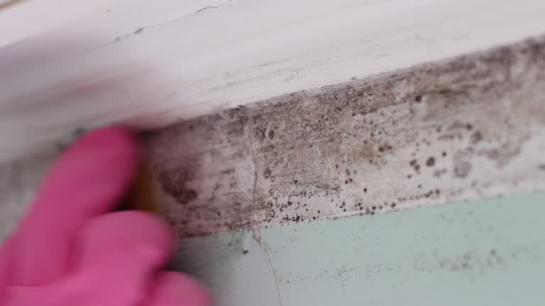 Best Comprehensive Air Testing for Mold Contaminants  in Brooklyn, IN
